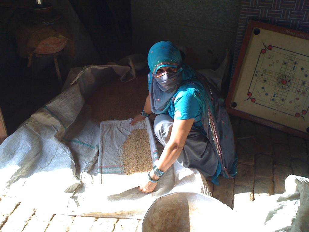A woman in a Haryana village. Photo: Vikas Lather